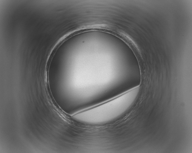 X0000084001324200702160746