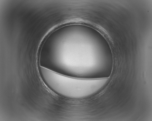 X0000084001326200702160746
