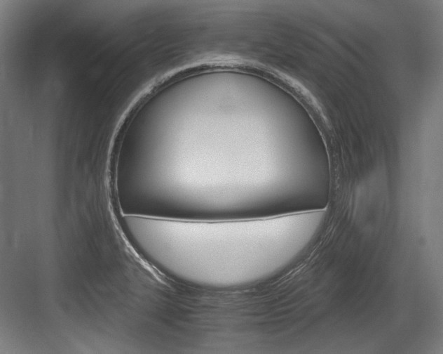 X0000084001327200702160746