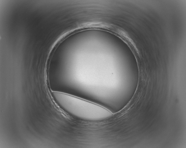 X0000084001328200702160746