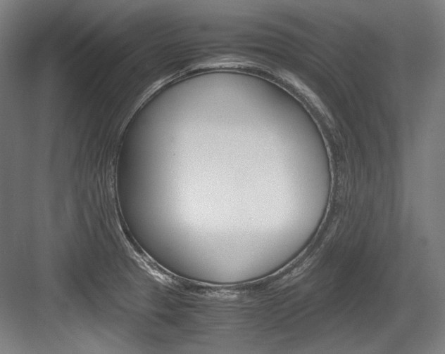 X0000084001329200702160746