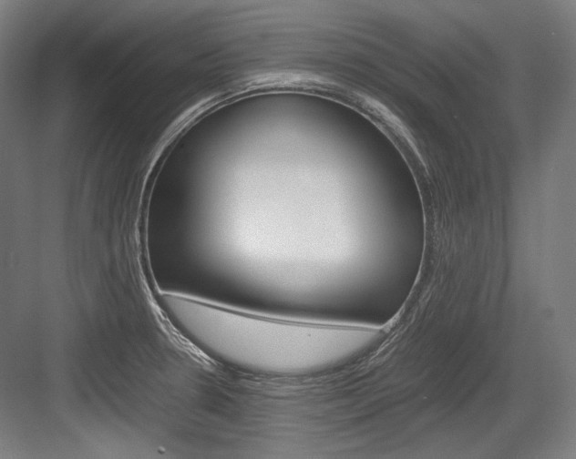 X0000084001330200702160746