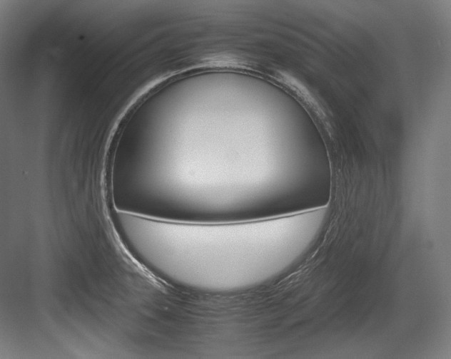 X0000084001331200702160746