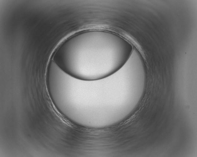 X0000084001332200702160746