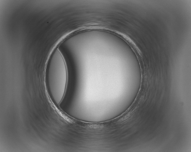 X0000084001333200702160746
