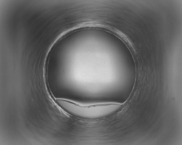 X0000084001334200702160746