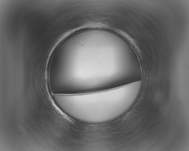 X0000084001335200702160746