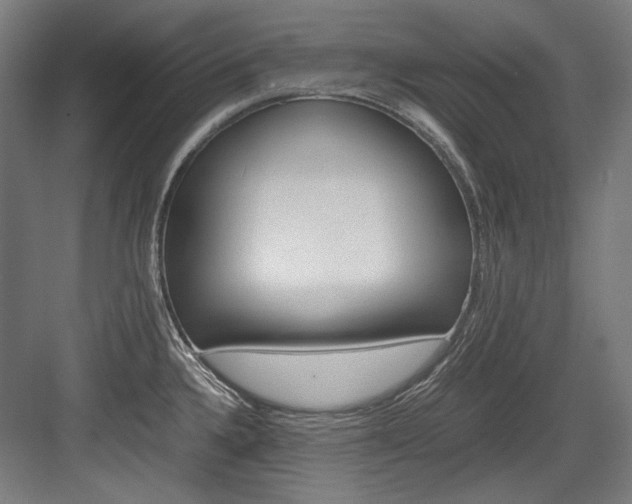 X0000084001336200702160746