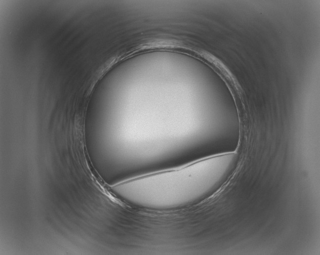 X0000084001337200702160746