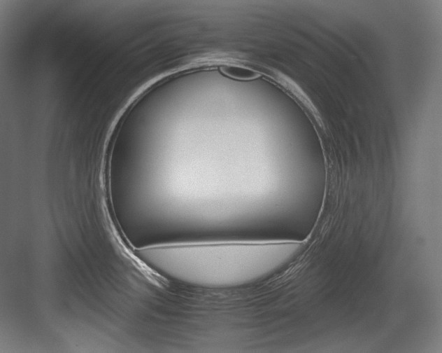 X0000084001339200702160746
