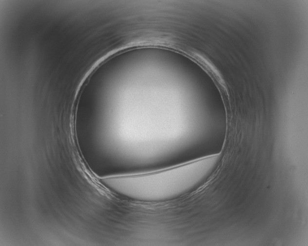 X0000084001340200702160747