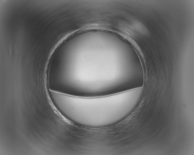 X0000084001341200702160747