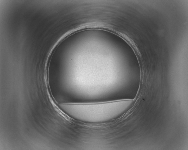X0000084001342200702160747