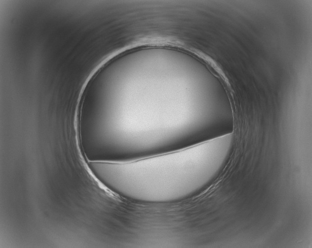 X0000084001343200702160747