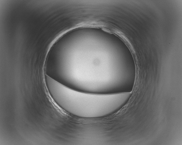 X0000084001344200702160747
