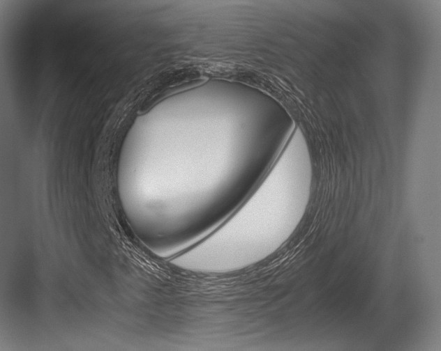 X0000084001345200702160746