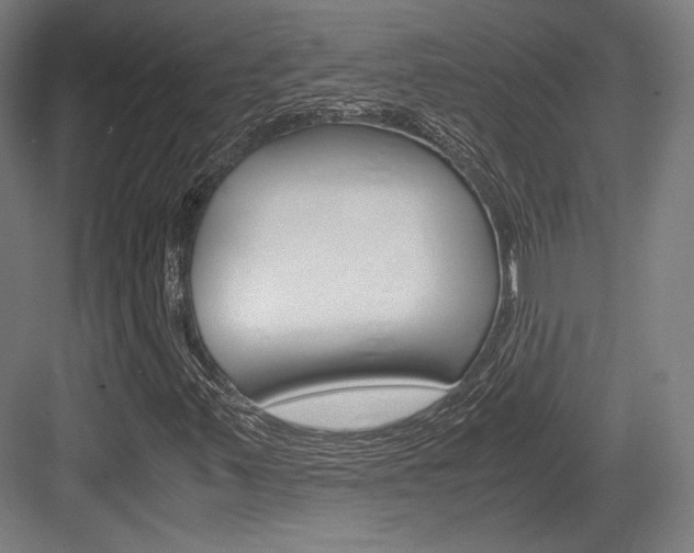 X0000084001347200702160746