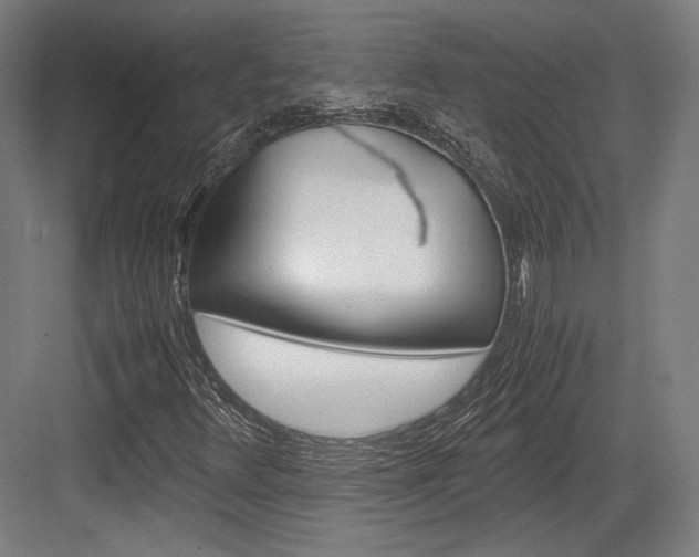 X0000084001348200702160746