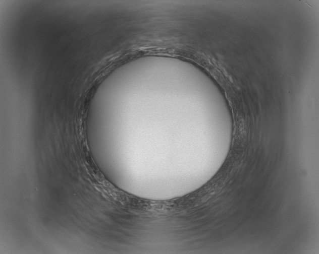 X0000084001350200702160746