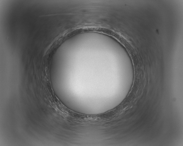 X0000084001351200702160746