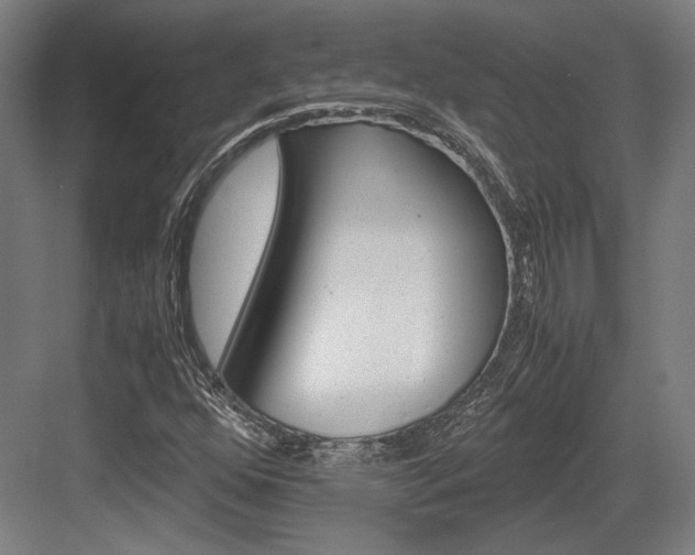 X0000084001352200702160746