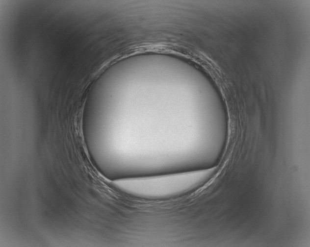 X0000084001353200702160746
