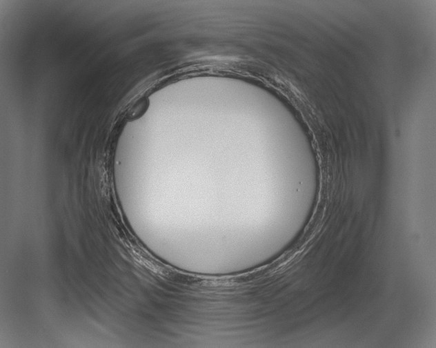 X0000084001354200702160746