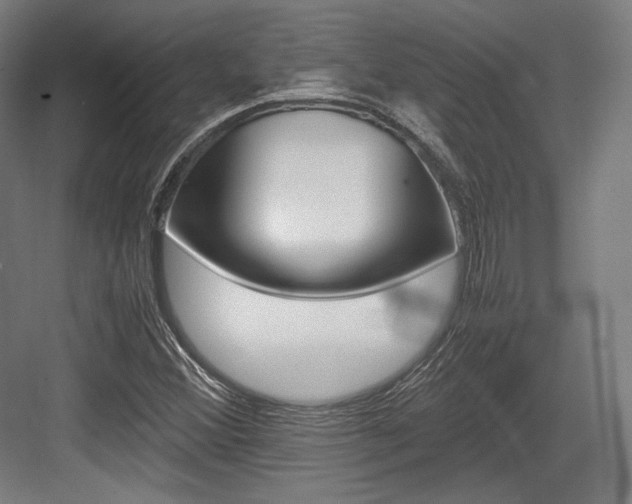 X0000084001356200702160746