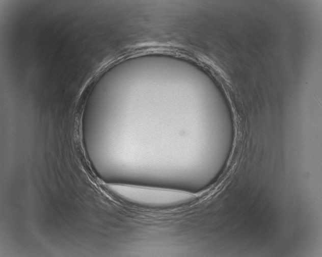 X0000084001357200702160746