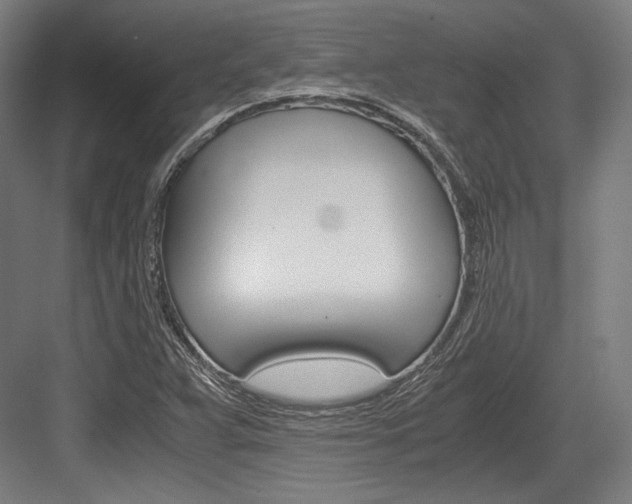 X0000084001359200702160746