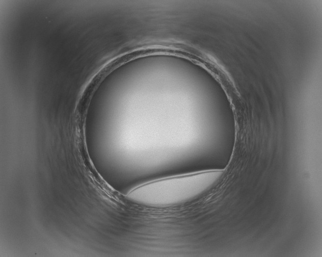 X0000084001360200702160746