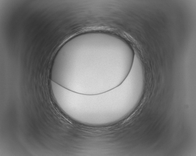 X0000084001361200702160746