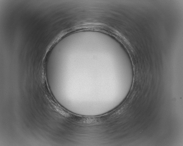 X0000084001362200702160745