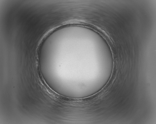 X0000084001363200702160745