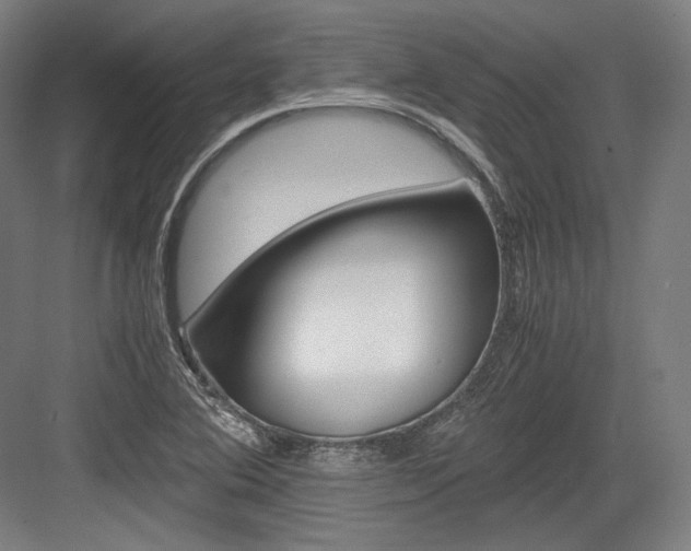 X0000084001364200702160745