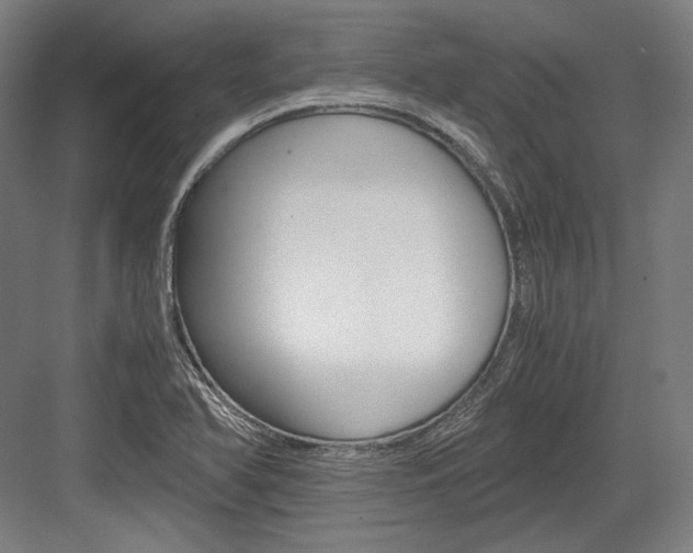 X0000084001366200702160745