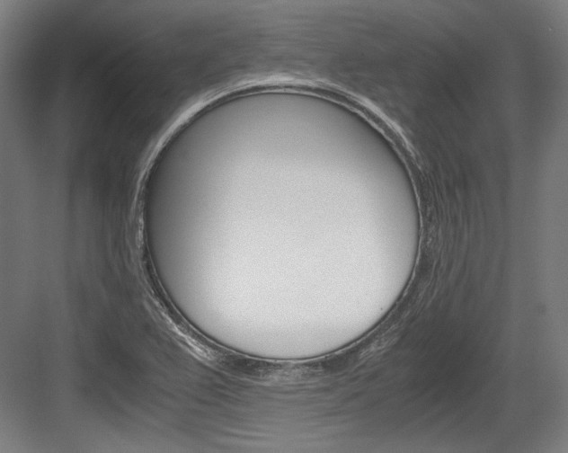 X0000084001367200702160745