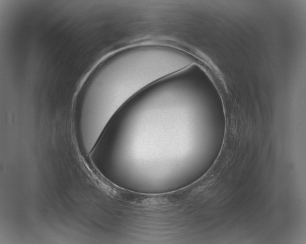 X0000084001368200702160745