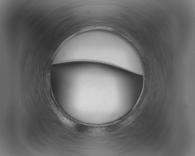 X0000084001369200702160745