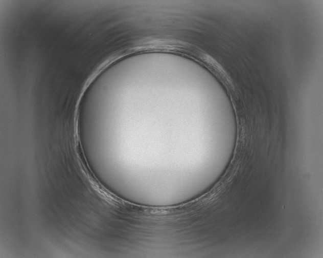 X0000084001370200702160745