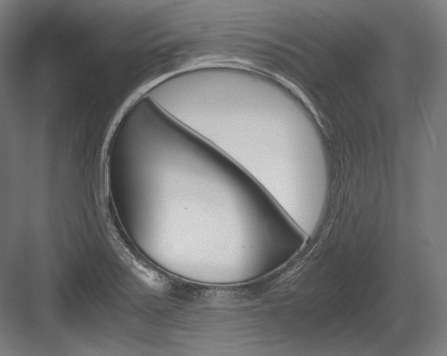 X0000084001371200702160745