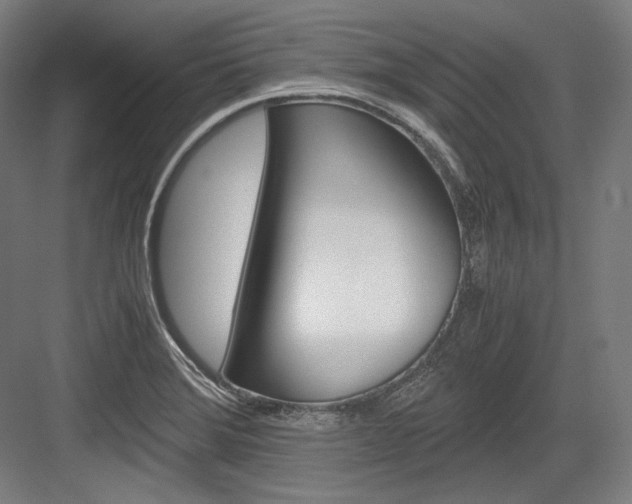 X0000084001372200702160745
