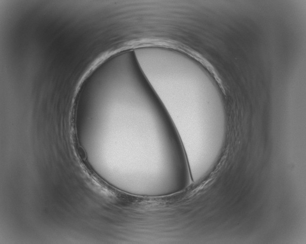 X0000084001373200702160745