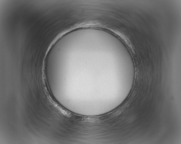 X0000084001374200702160745