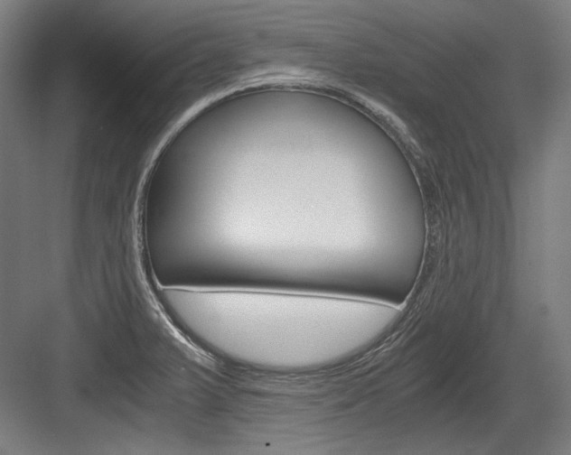 X0000084001375200702160745