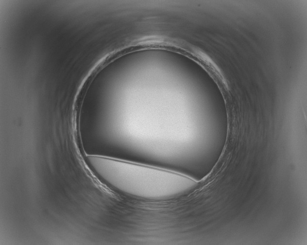 X0000084001376200702160745