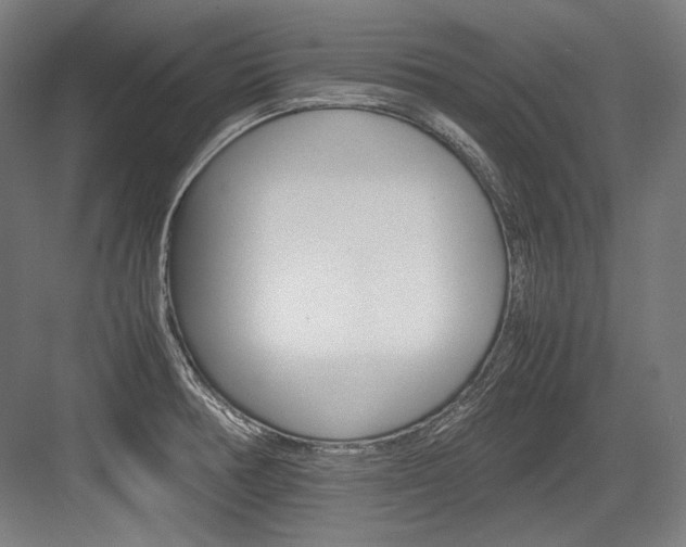 X0000084001378200702160745