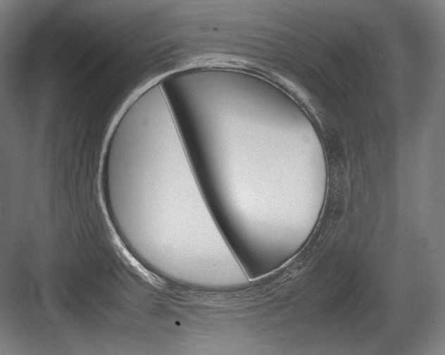 X0000084001379200702160745