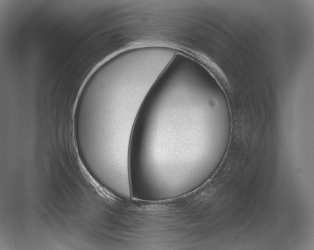 X0000084001380200702160745