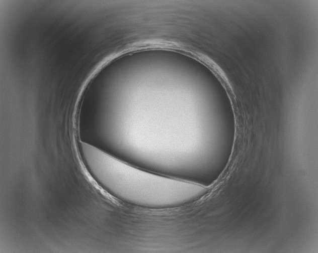 X0000084001381200702160745